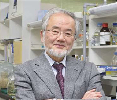 عالم ياباني يفوز بجائزة نوبل للطب