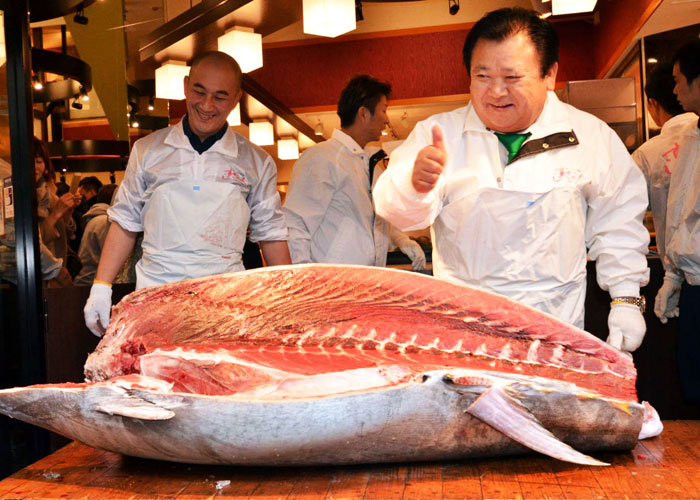 للمرة الأولى.. العالم يحيي اليوم العالمي لسمك التونة غدا
