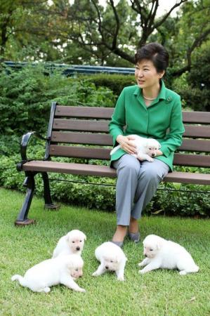 "الكلاب" تتسبب في أزمة جديدة لرئيسة كورية الجنوبية المعزولة
