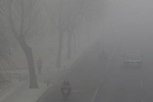 زراعة "عقد أخضر" حول العاصمة الصينية لحمايتها من التلوث