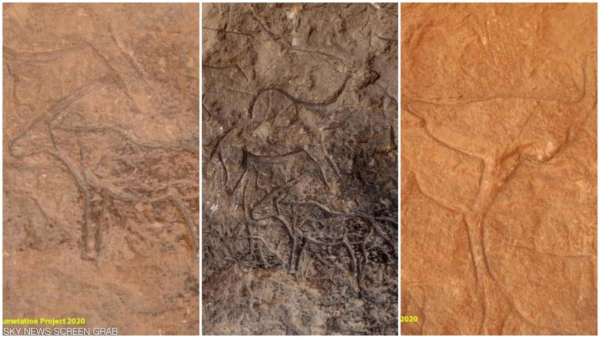 اكتشاف كهف أثري بنقوش فريدة في سيناء 