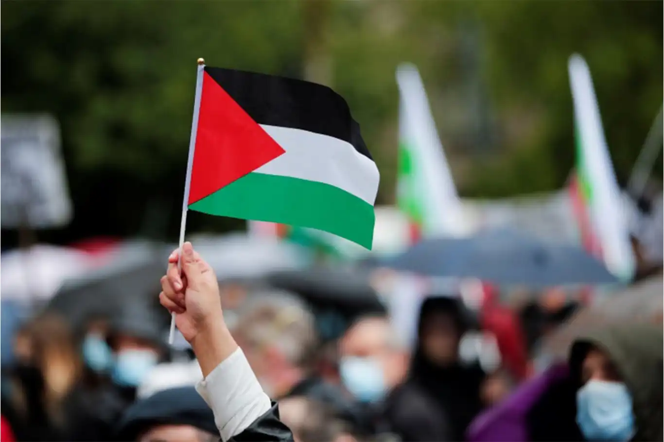  دول أوروبية تعترف بفلسطين رسمياً