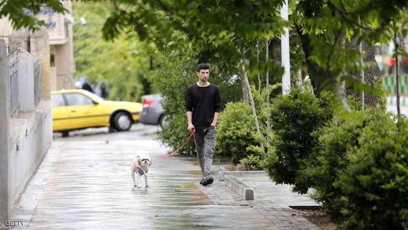 إيران تستهدف "الكلاب" بقرار مثير للجدل