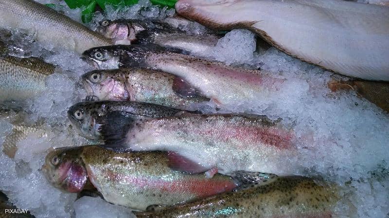 كورونا في سوق السمك بالصين يفتح باب "الاحتمالات الخطيرة" 