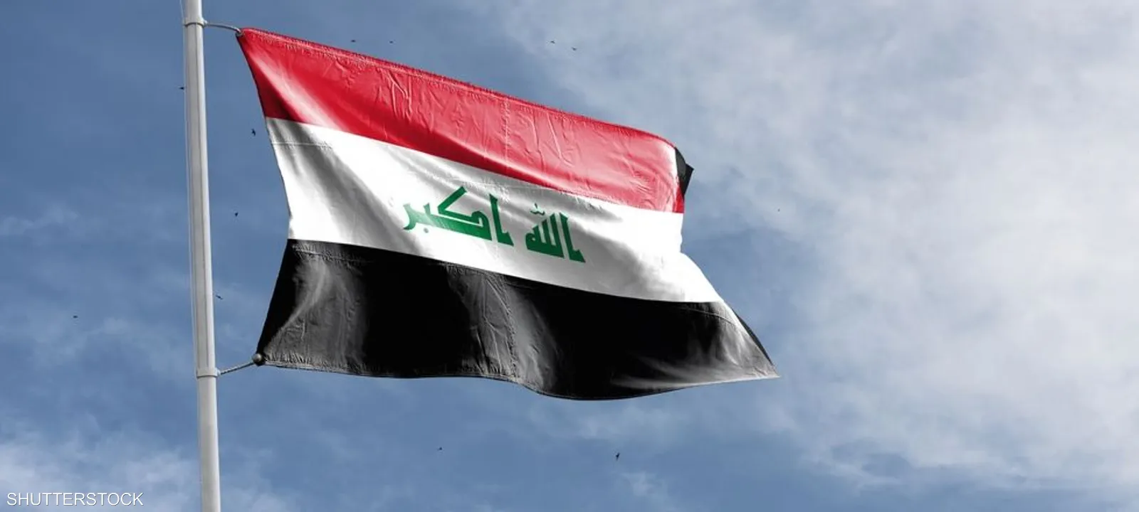  44 ������ ����� ���� ������