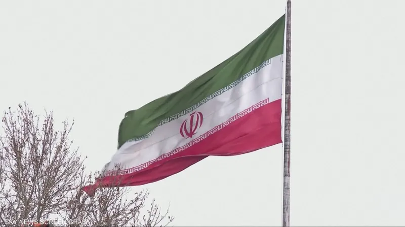 ���� ����� ������