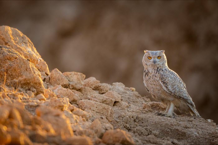 ��������� ��������ɻ.. ���� ���� ������ ������ ���� �� ���� ���� ������