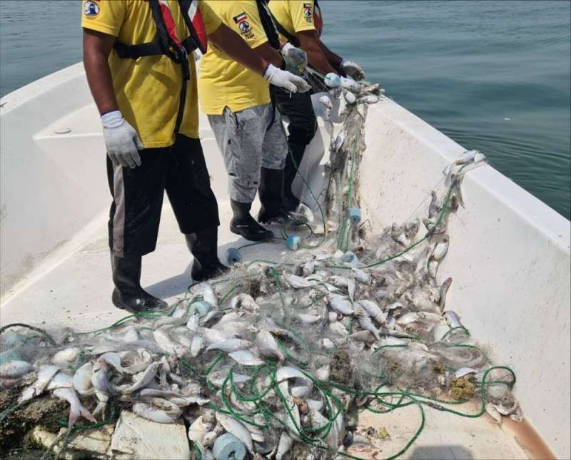  «معهد الأبحاث»: تراخيص الصيد «الجديدة» ... تُدمّر ما تبقّى من المخزون السمكي