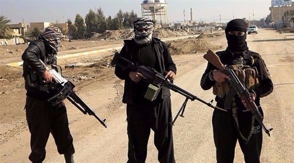 مقتل 42 إرهابياً من داعش في عمليات عسكرية شرقي أفغانستان