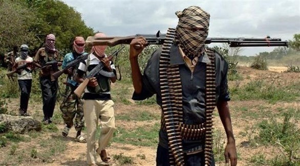 الجيش الأمريكي يقتل 18 من حركة "الشباب" الإرهابية في الصومال