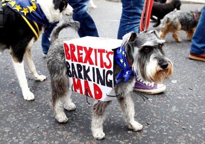 مسيرة لأصحاب الكلاب في لندن للمطالبة بالبقاء في الاتحاد الأوروبي
