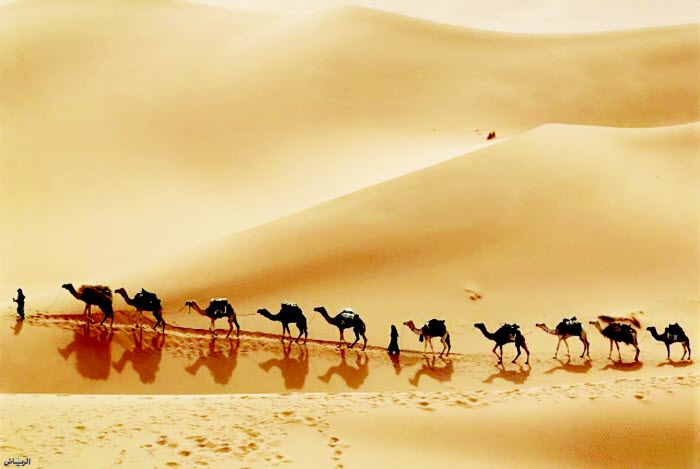 ���� ������ ��� ����� ��� ����