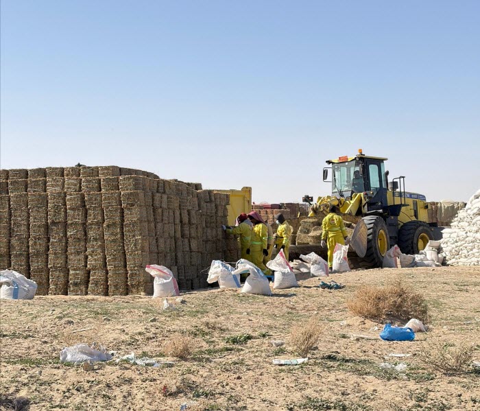 ������� ����� �� �� ������ ��������