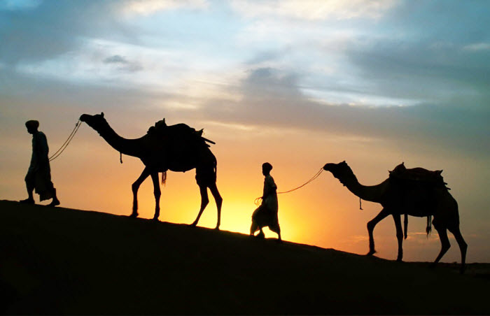 ��� ������ ��� ���� ����