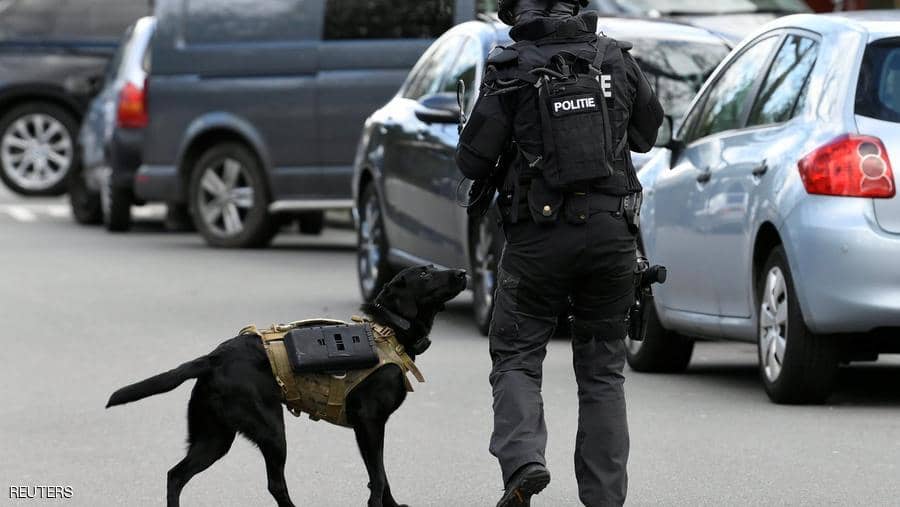 «لابرادور» بسترة واقية.. كلب الشرطة الهولندية يلفت الأنظار
