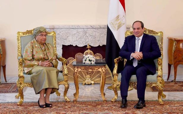 الرئيس المصري يؤكد اهتمام بلاده بمعالجة مشكلة الهجرة غير الشرعية بالقارة الافريقية 