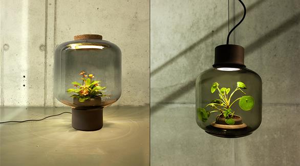 بالصور: مصابيح ينمو بداخلها النباتات بلا ماء أو شمس