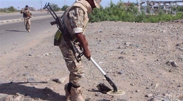 الجيش اليمني ينزّع 1500 لغم أرضي زرعها الانقلابيون في ميدي