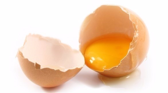 كم بيضة يمكن أكلها في اليوم؟