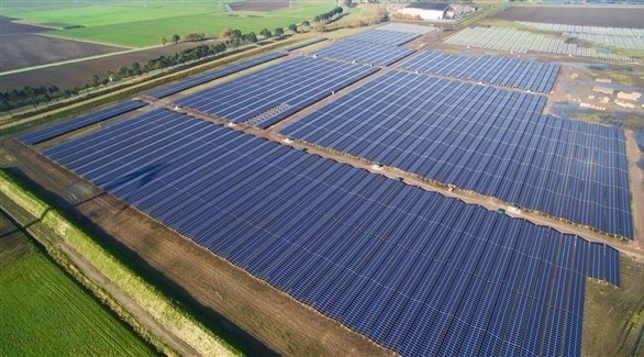 غوغل تشتري كل الكهرباء التي يولدها أكبر متنزه شمسي في هولندا