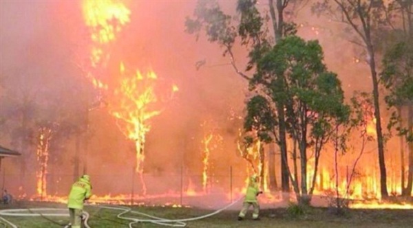 رئيس الوزراء الاسترالي ينفي ارتباط سياسته المناخية بحرائق الغابات