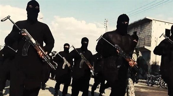 خبير ألماني: داعش لم يعد قادراً على شن هجمات معقدة