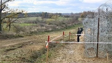 سياج بين بلغاريا ورومانيا لمنع انتقال "حمى الخنازير"