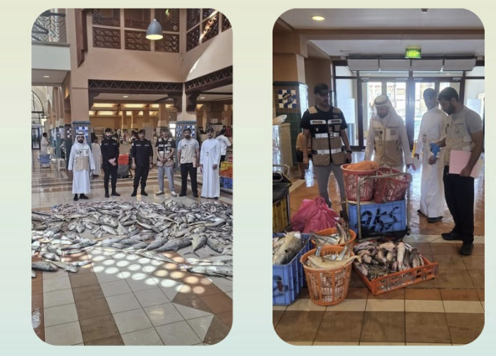إتلاف 525 كيلوغراماً من الأغذية والأسماك الفاسدة في الأحمدي