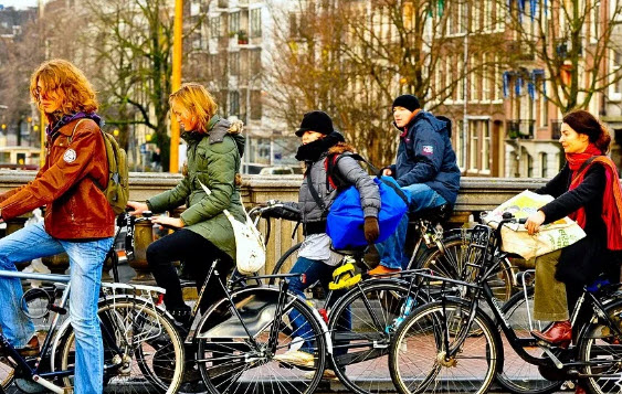 هولندا تعتزم حظر كتابة الرسائل أثناء ركوب الدراجة