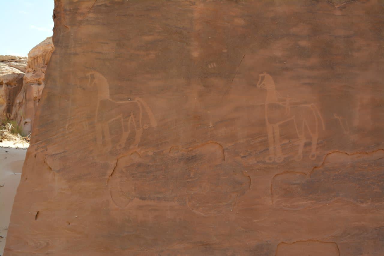 سعودي يوثق الفنون الصخرية  للخيل العربي في «تبوك»