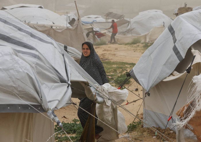 ���: 7 ����� �13 ������..  ������ ����� ����� ������ ��������