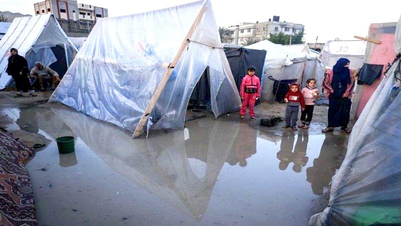 ����� ������� �� ��� .. ���� �������� �� ��� ����� ����