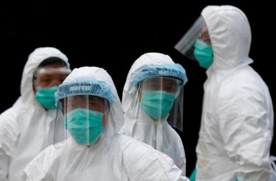 كوريا الجنوبية تؤكد ظهور فيروس إنفلونزا الطيور اتش5ان6 في مزرعة للبط