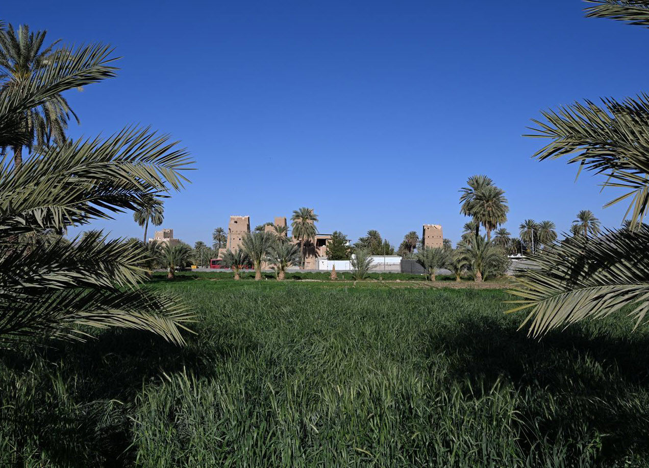 ��� ����� ������ �� ������.. ���� ����� ���� �������