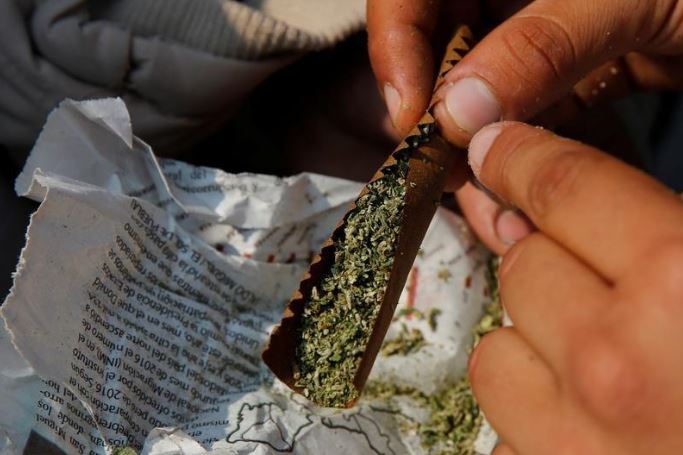 المكسيك تجيز بيع المنتجات التي تدخل في صناعتها الماريجوانا العام القادم