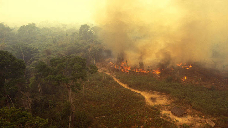 «ناسا» تكشف عن العمود الضخم لأول أكسيد الكربون الناتج عن حرائق الأمازون