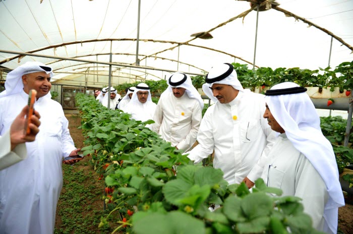   ����� ������� : ����� ������� ������ ������ ����� ������� ������ ������� �������