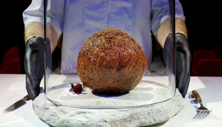 متحف هولندي يكشف عن كرة لحم  من حيوان الماموث المنقرض 