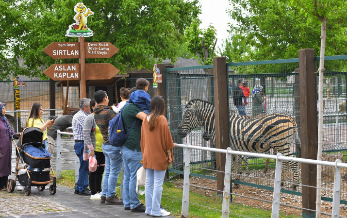  تركيا.. حديقة حيوانات قيصري  استقبلت 450 ألف زائر العام الماضي