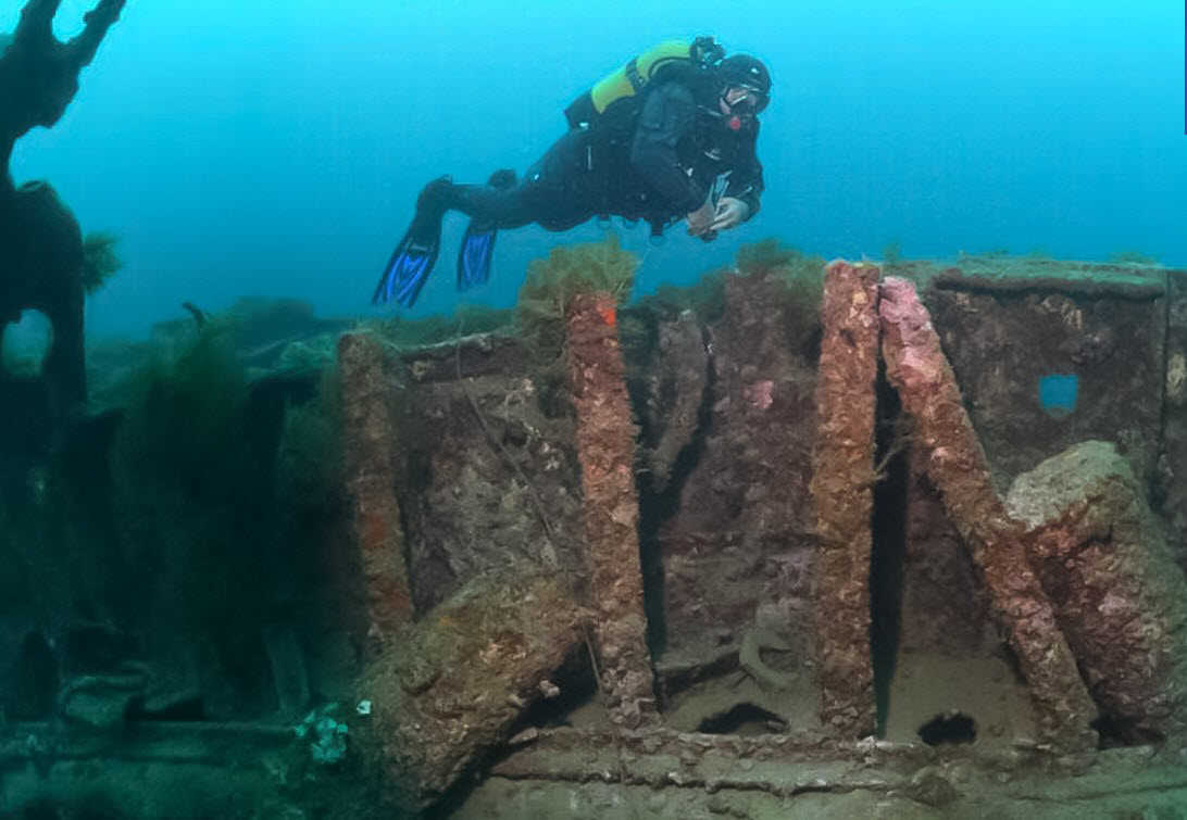 ���� ����� ������� ���� ������ ���  ����� ����� ����� ������ ��� �����