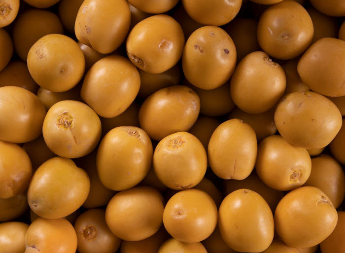 ���� ������ֻ ������ ����� ������  ������ ������ �������� ����������