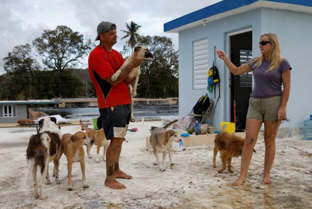 رجل وزوجته يتحديان الإعصار ماريا لإنقاذ سبعة كلاب وثماني قطط