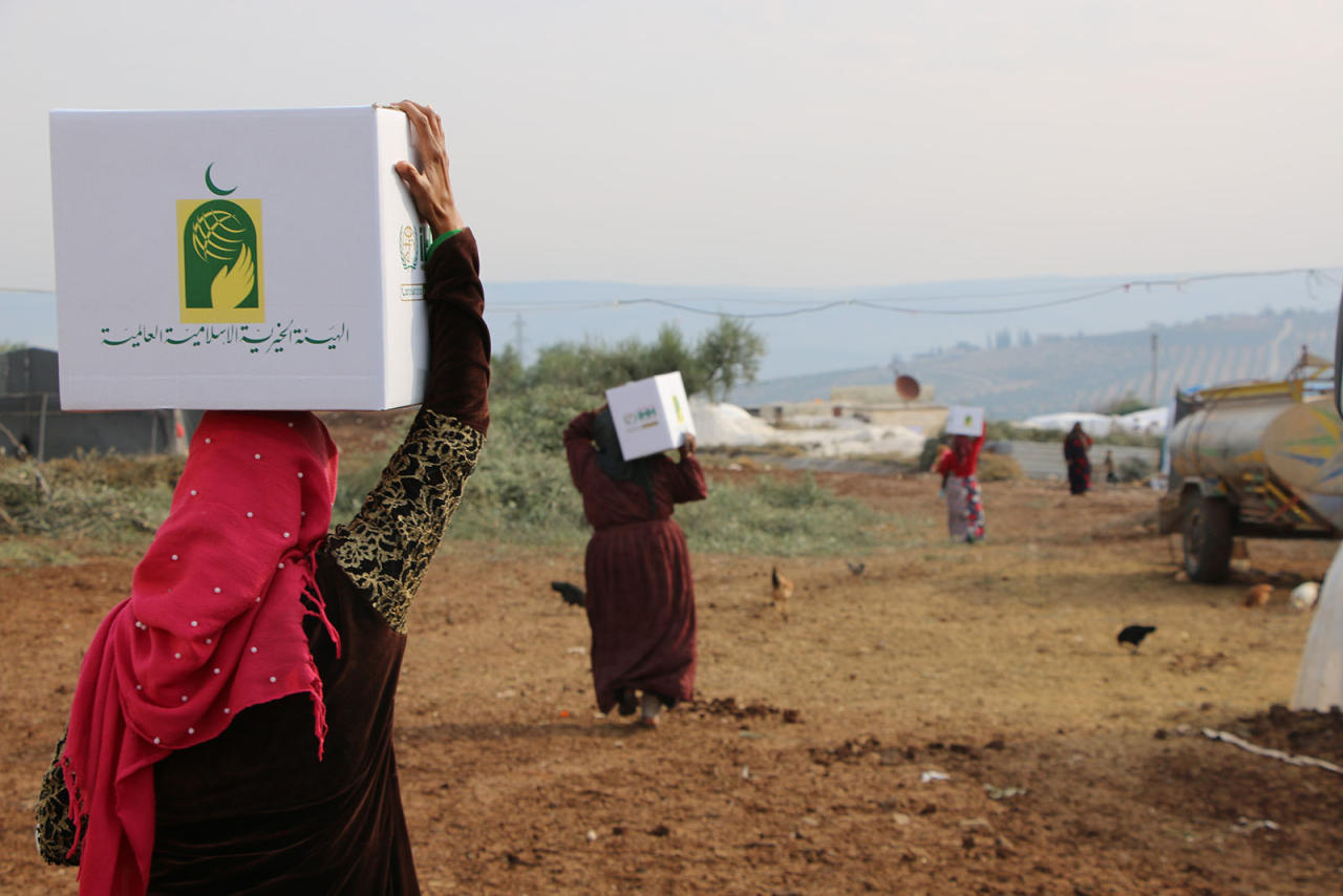 ������ ����� �������  ����  ���� ���������