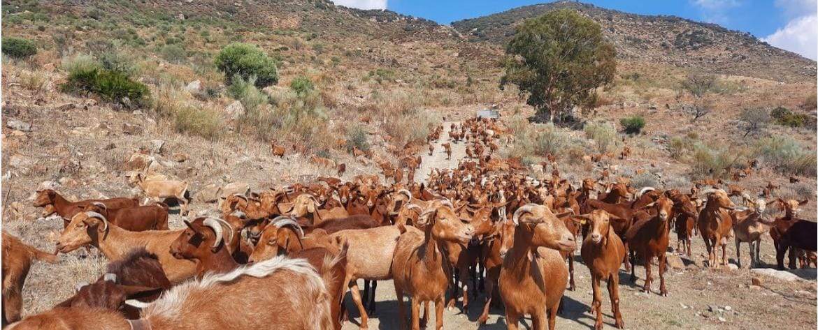  ��� ���� ���� �� ���� ������� ���� ����  �� ��� ���� �������� 