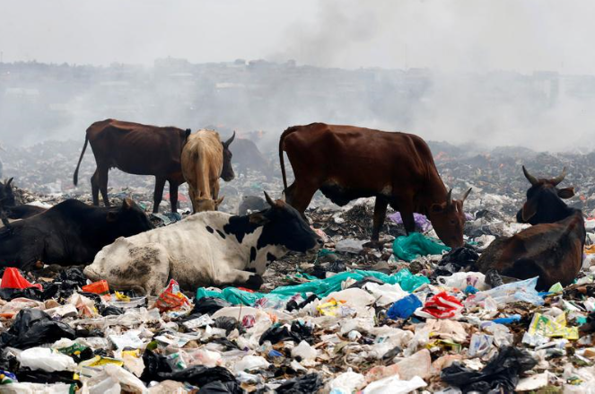 كينيا تفرض أشد القوانين في العالم ضد الأكياس البلاستيكية