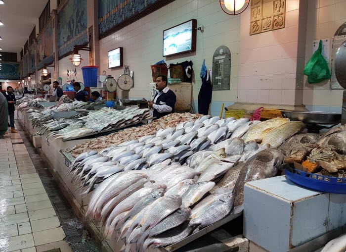  ���� �������ɻ ���� ���� ��� ����� ����� ����� �������