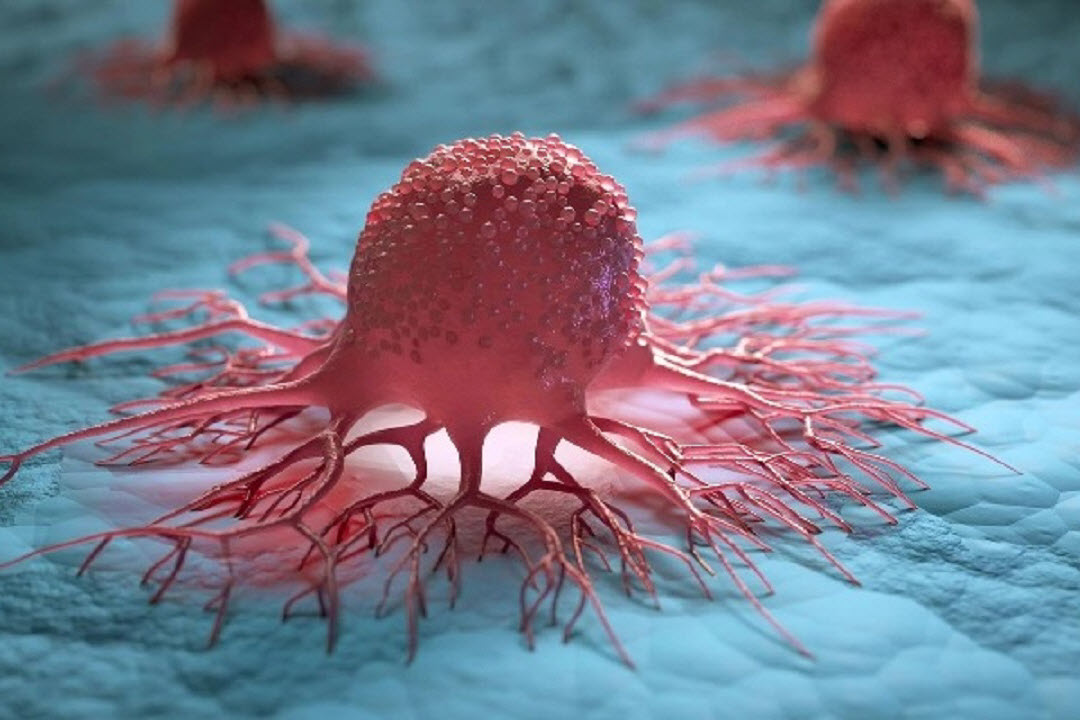 �����.. ����� ������ ������ ������� ������ ���� �������