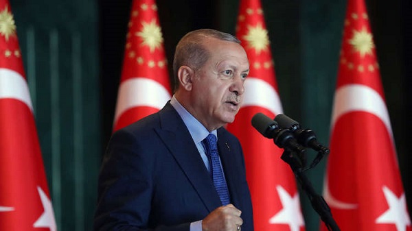 أردوغان يدعو إلى التعامل بالعملات المحلية بدلا عن الدولار