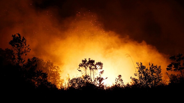 حرائق الغابات في ماليزيا وإندونيسيا تغلق آلاف المدارس 
