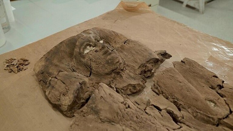 علماء الآثار يكشفون لأول مرة عن وجه أميرة فرعونية عاشت قبل 4 آلاف عام